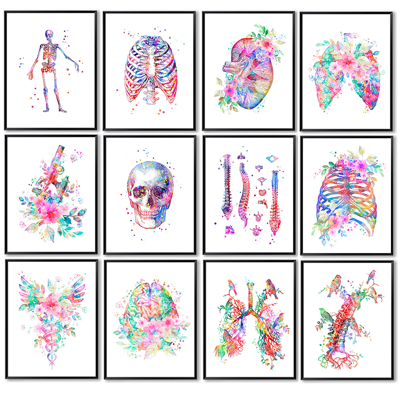 Unframe Anatomy Medical Poster - Medical Lab Pictures recension och pris